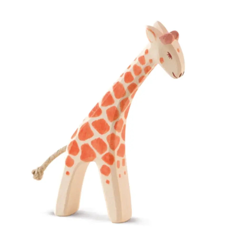 Kleine Giraffe beugte sich