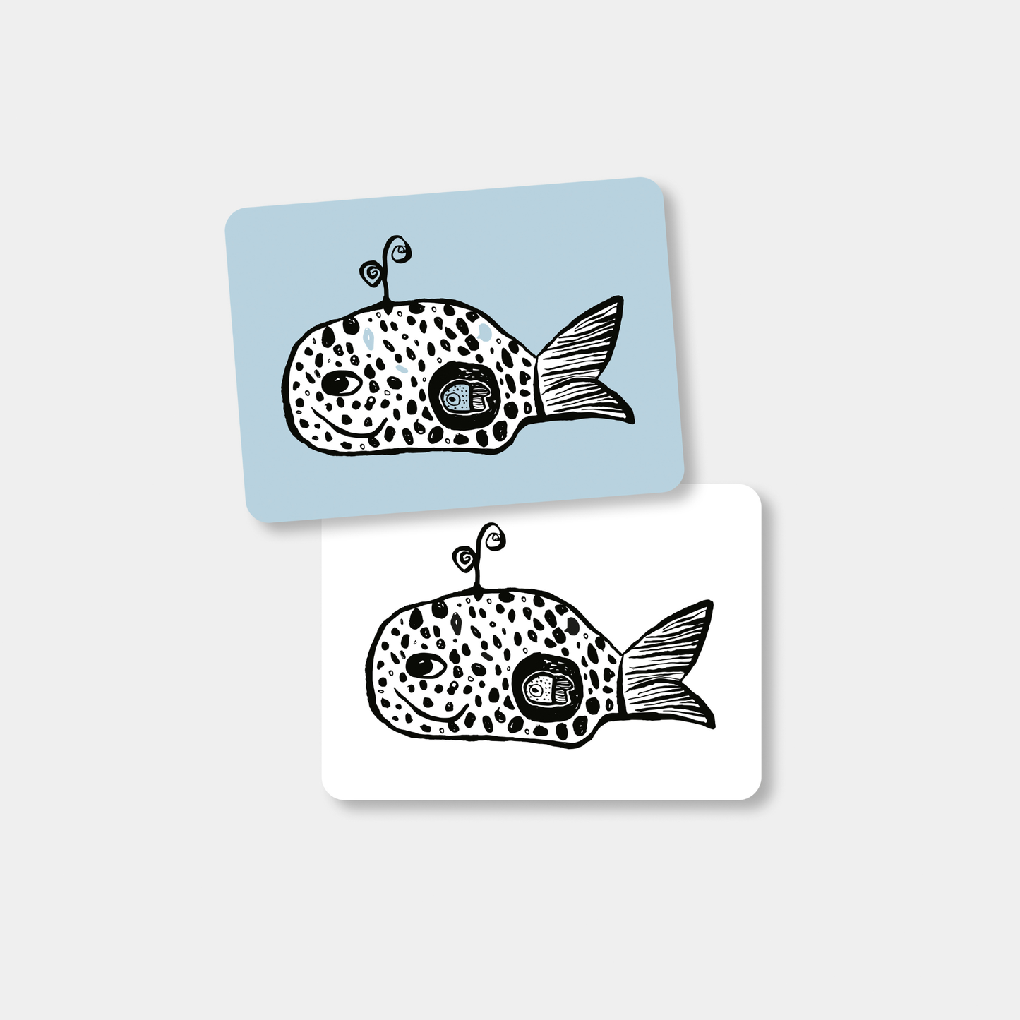 Flash Cards - Ocean