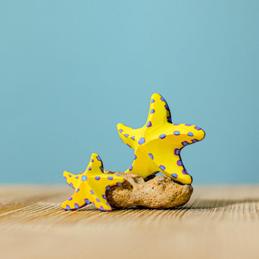 Yellow Starfish SET